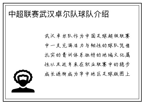 中超联赛武汉卓尔队球队介绍